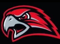 Pleasanton Hawks logo